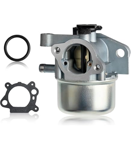 Amazon.com: Carburetor For Briggs & Stratton 121602-0269-E1 121602