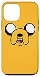 iPhone 12 mini Adventure Time Jake Head Case