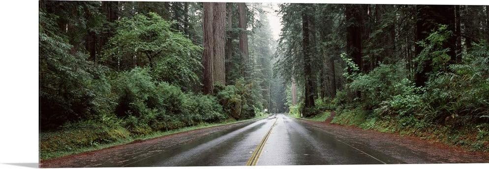 GREATBIGCANVAS Road Passing Through Forest Avenue of The Giants Humboldt Redwoods State Park Eureka Humboldt Co.