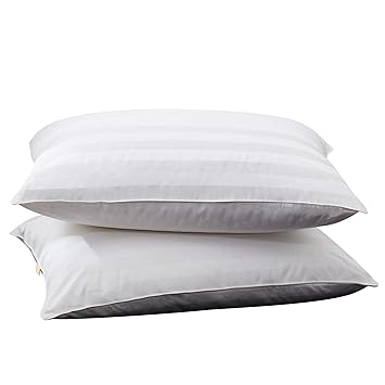 Amazon Com Puredown Luxury White Goose Down Pillow 2 Outer