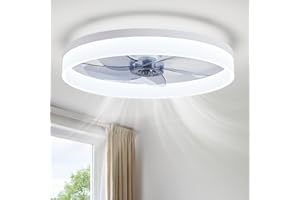 19.7 Inch White Low Profile Ceiling Fan with Light and Remote, Flush Mount, Noiseless DC Motor, Reversible, 6 Speed with Time