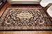 Generations Traditional Opera Persian Area Rugs Black 5'2 x 7'3