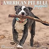 American Pit Bull Terrier Puppies 2019 Wall Calendar (Dog Breed Calendar)