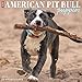 American Pit Bull Terrier Puppies 2019 Wall Calendar (Dog Breed Calendar)