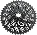 SRAM XG-1175 Cassette - 11 Speed, 10-42t, Black, For XD Driver Body