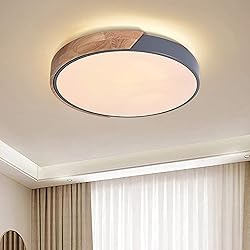 EDISLIVE Ceiling Light Dimmable 15 inch Modern