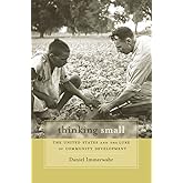 Thinking Small: The United States and the Lure of Community Development