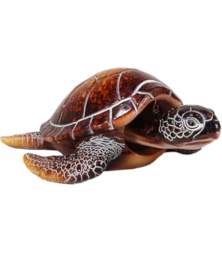 Calma Store 38灯 鼈甲柄 Skelton Tortoise Amazon.com: Ebros Gift Nautical Ocean Colorful Hues of Green