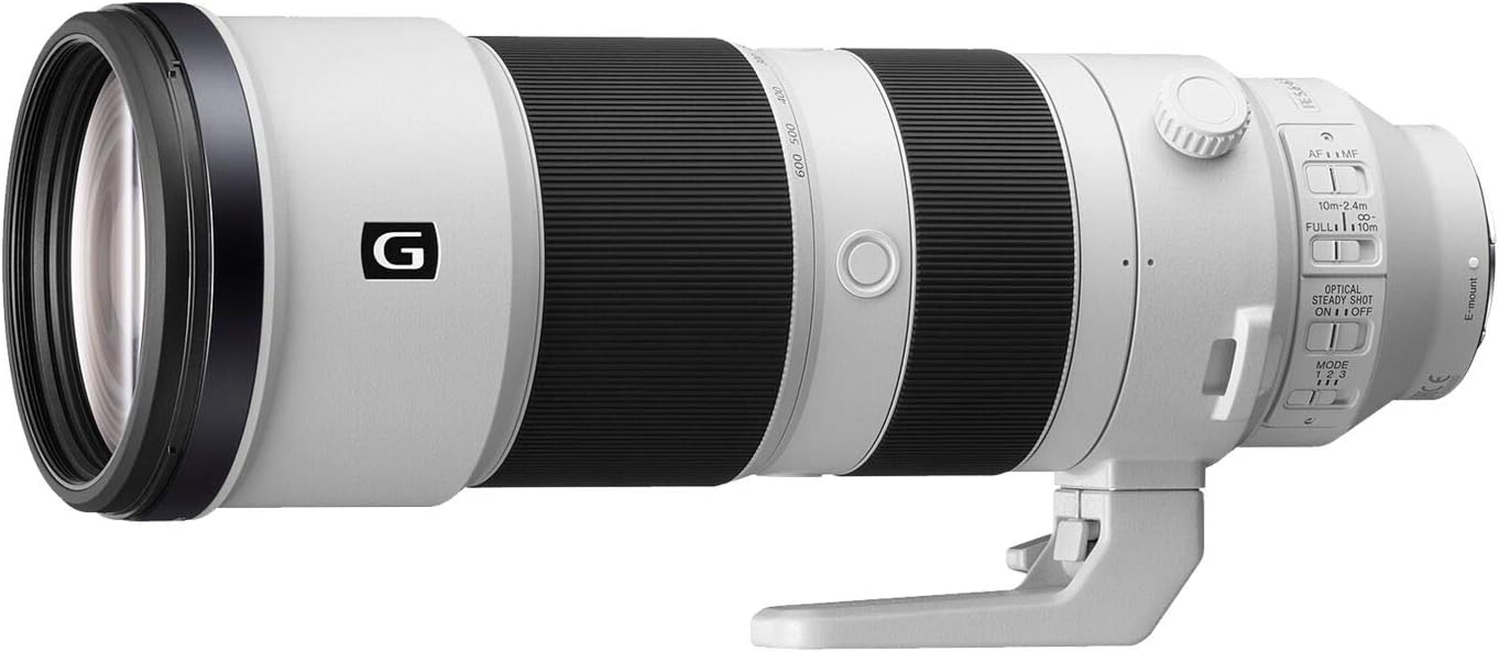 Sony 200-600mm f/5.6-6.3 G OSS E-Mount Super-Telephoto Zoom Lens - Ideal for Wildlife Sports, and Nature Photography