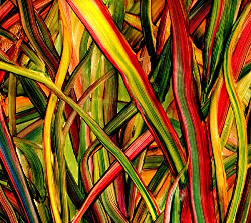 Gengahr - Where Wildness Grows - Zortam Music