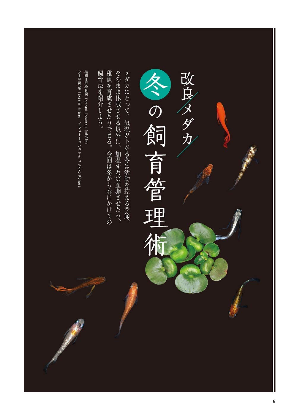 最新改良品種のすべてがわかる メダカの教科書 Vol 3 サクラムック 本 通販 Amazon