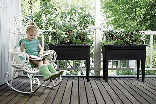 Elho Green Basics Grow Table XXL Crecimiento, Verde Hoja, 39.5x39 ...