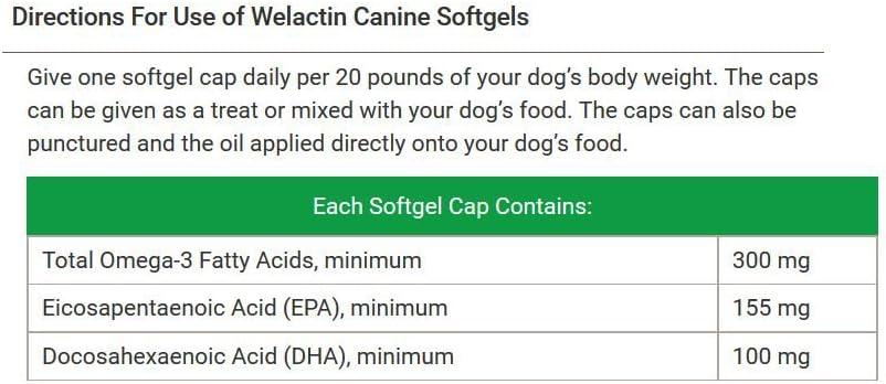 Welactin Omega-3 Skin and Coat Support Liquid, 16 oz : Pet Supplements And Vitamins : Pet Supplies