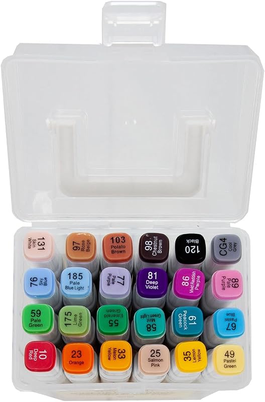 Mr Wonderful - Lot de 24 marqueurs de couleur à double pointe - Pointe fine pour écrire et pointe plus épaisse pour surligner le texte - Étui transparent