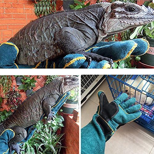 Linge De Table Gants Et Maniques Perroquet Pour Chien Oiseaux Serpent Animaux Sauvages Gants De Protection Lezard Anti Morsure Coup De Griffe Da Jia Inc 59 9 Cm Gants Pour Manipulation D Animaux Chat Napravi Rs