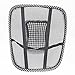 PrimeTrendz Black Lumbar Mesh Back Brace Support Office Home Car Seat Chair Ventilate Cool Cushion Pad with Massage | Breathable, Massage Beads for Ultimate Comfort (1 Piece)