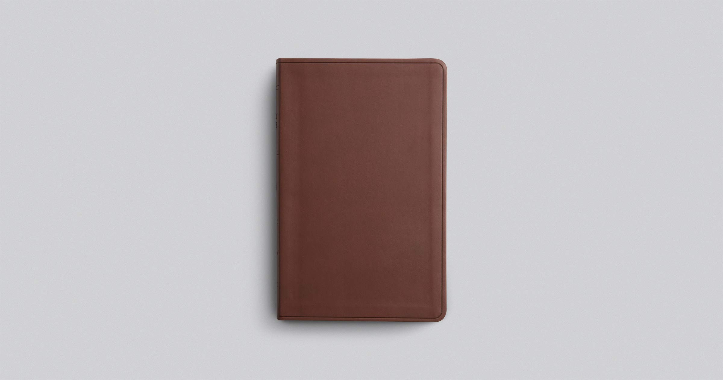 ESV Large Print Value Thinline Bible (TruTone, Chestnut)