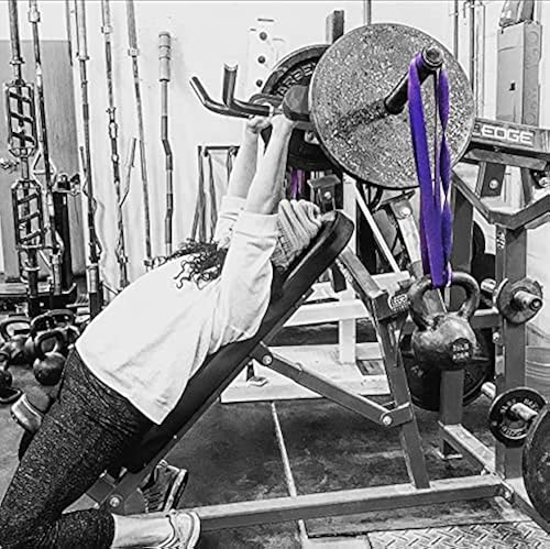 Westside Barbell Resistance Bands, Heavy Duty Workout Exercise