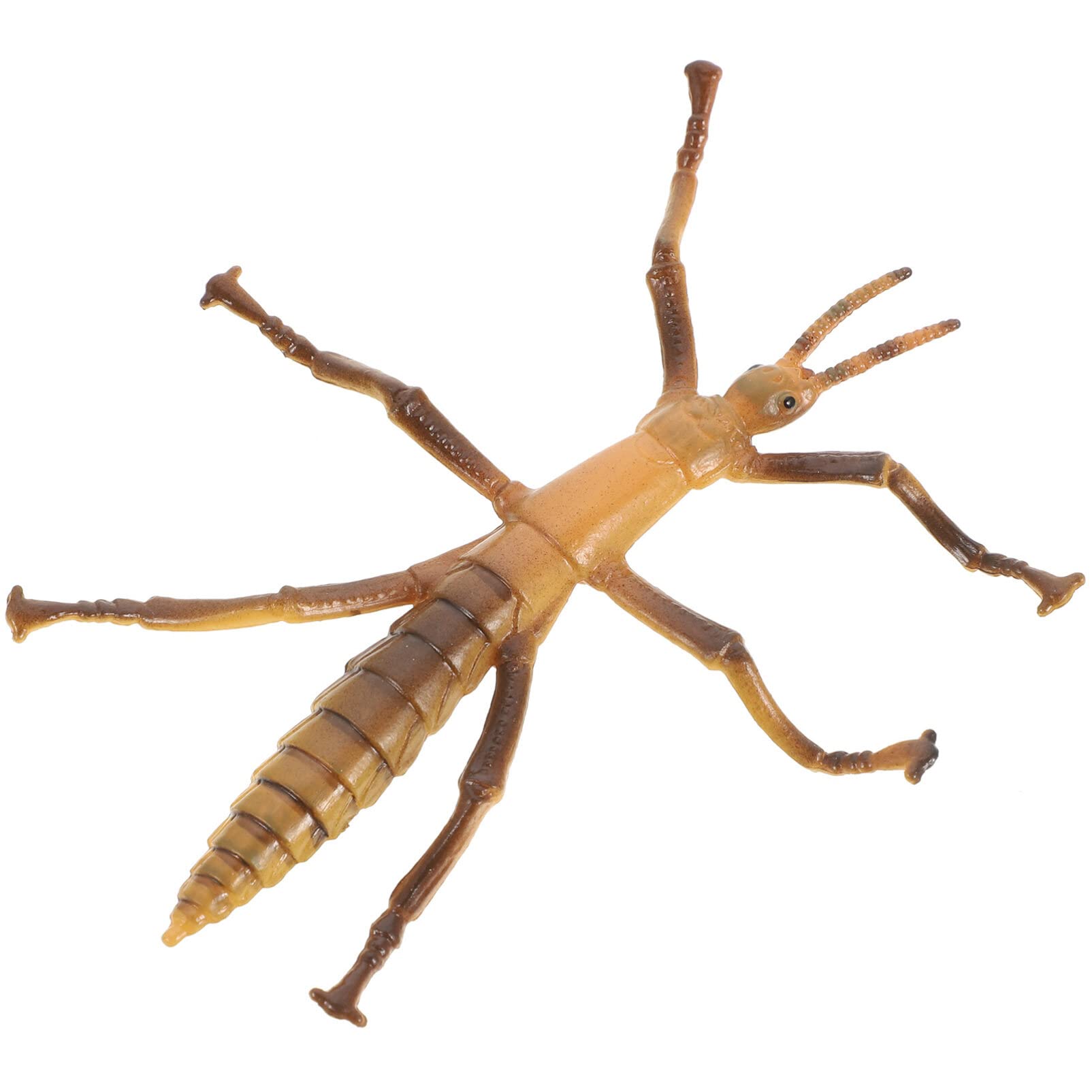Toyvian Educational Stick Insect Toy Stick Insect Model Figure s Faux Realistic Stick Bugs and for Kids Plastic Funny Figure Plastic Candy Bags Insects Toddler Animal Arthropod
