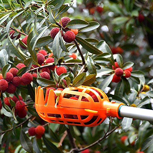 HANZIUP Plastic Fruit Picker Basket Head, Labor Saving Tool Fruits Catcher for Harvest Picking Apple Mango Pear Peach Mango Kiwi Lemon Cherry