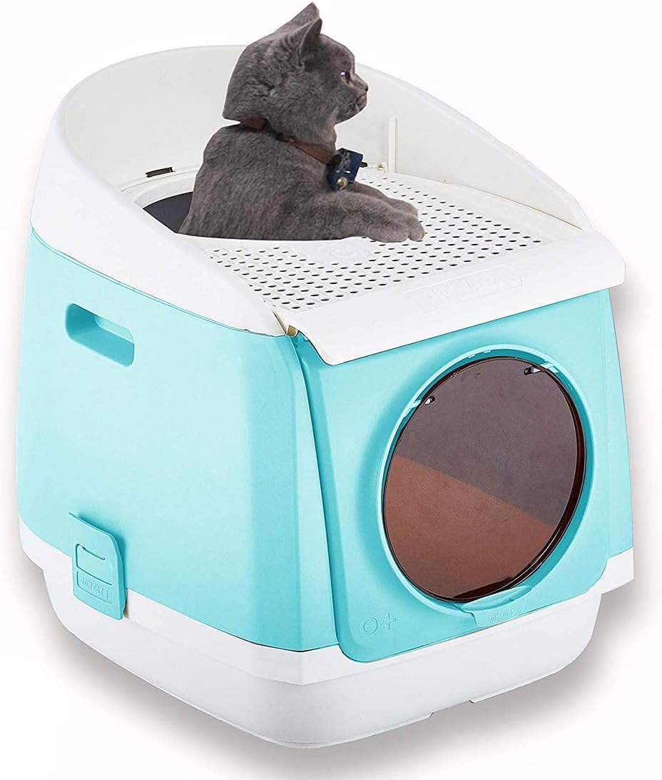 cat box cleaning service