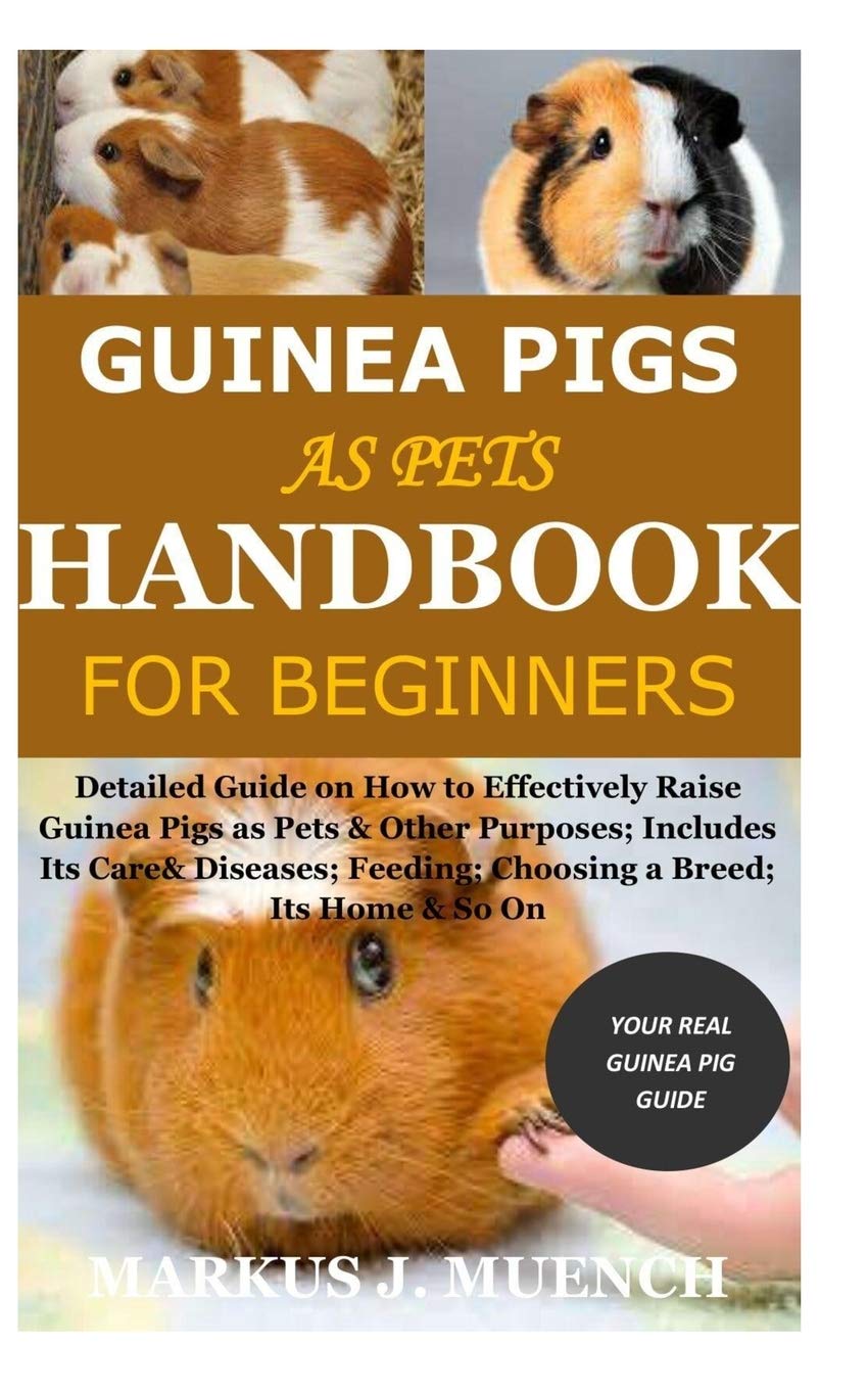 guinea pig feeding guide