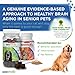 Neutricks for Aging Dogs - 60 Soft Chews - Daily Supplement for Canine Brain Health and Cognitive Function in Dogs - Support Mental Agility, Focus & Attention as Dogs Get Older - Taste Dogs Love!
