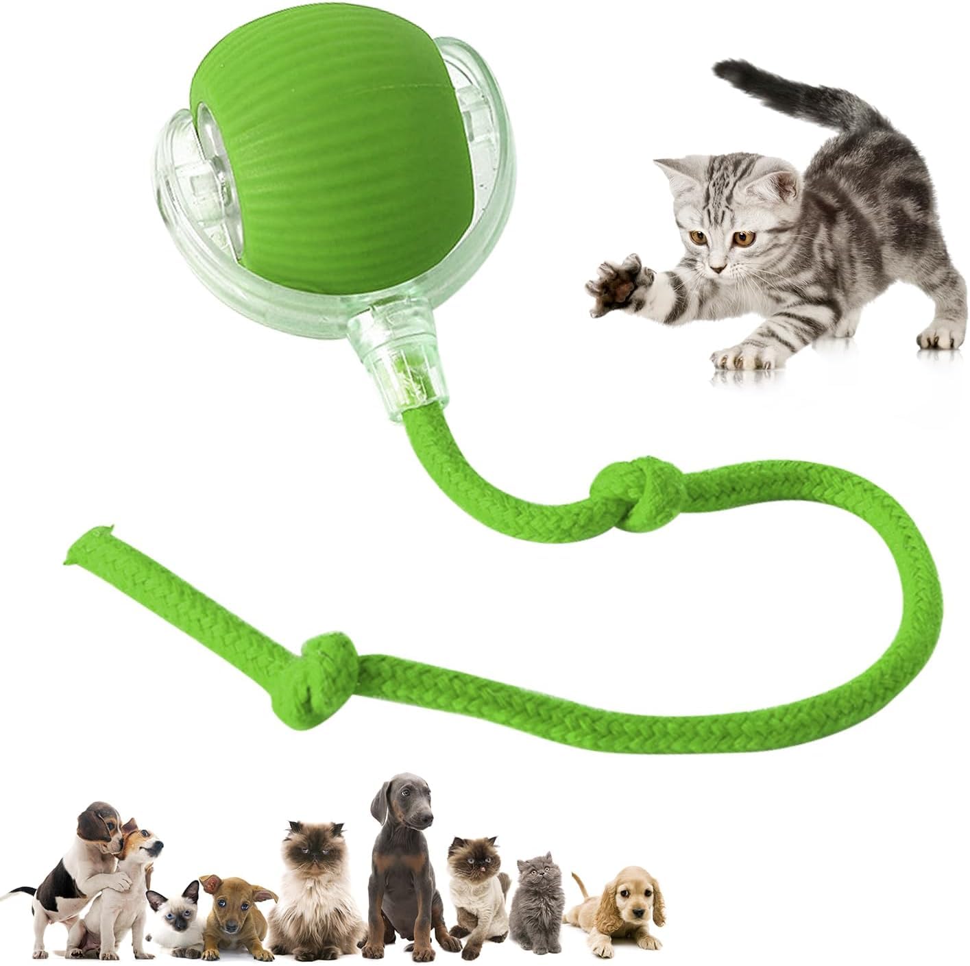XUDUOO Interactive Dog Toys, Active Rolling Ball with Tail for Dogs, Rechargeable Cat Toys for Indoor Cats, Automatic Pet Ball for All Floors & Carpet, GREEN