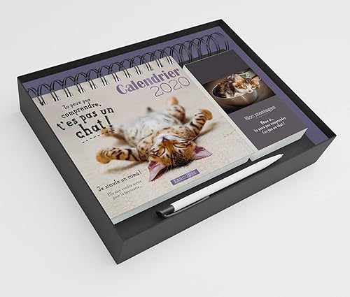 Download Calendrier 2020 Tu peux pas comprendre, t'es pas un chat ! PDF