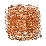Deneve Led Copper String Lights (100ft. Standard) Dimmable Twinkle Star lights Wire Lights for Indoor Outdoor Christmas Decorative Lights for Seasonal Holiday or crafting (Warm White)