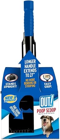 vizsla dog breeders near me