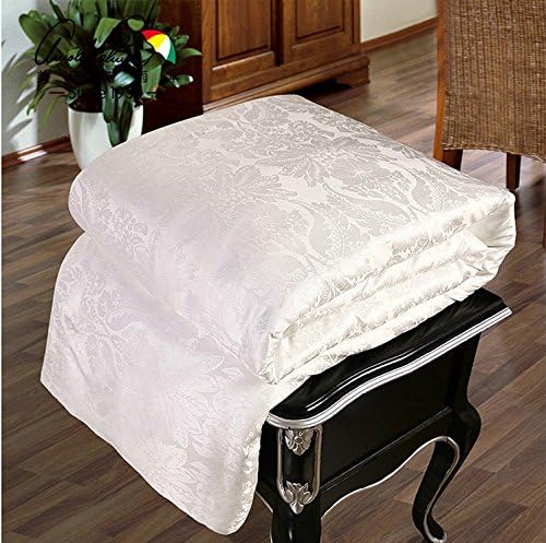 Shi Shang 100% Mulberry Silk Comforter Silk Filled Comforter Silk Quilt Silk Duvet(87x95inches) Doona Coverlet Blanket Bedspread for Winter Season Use(Queen, White)