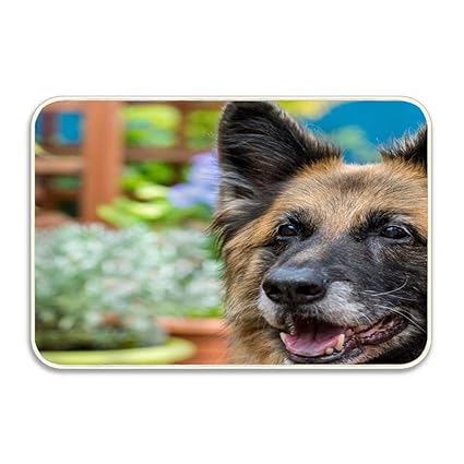 Amazon Com Duangdglumats Customize German Shepherd Dog