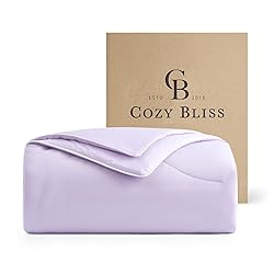 Cozy Bliss Cooling Comforter King Size