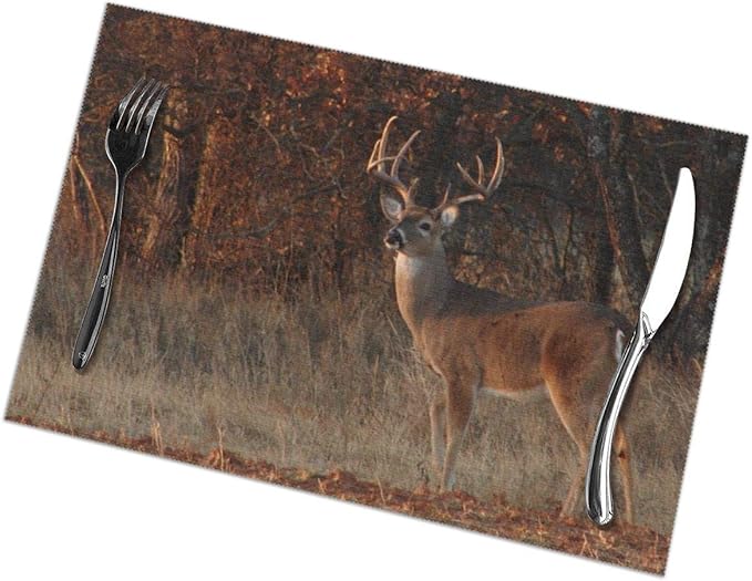 Placemats Set of 6 for Dining Table Colorful