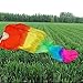 Belly Dance Fan Hand Made Long Veil Silk Bamboo Chinese Dancing Fan for Party Stage Performance Gradient Flame Rainbow Color 1 Pack 1.8m/5.9FT
