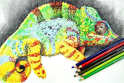 3 ARTEZA+Professional+Wax+Based+Sketching+Beginners