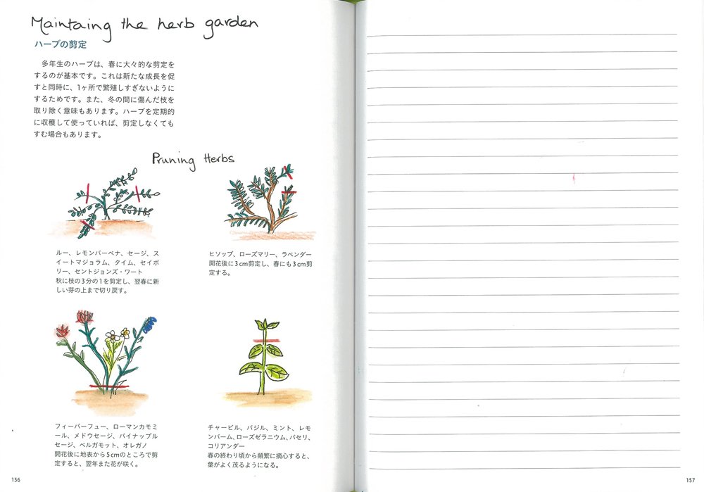 ベニシアの庭づくりノート Amazon De Bucher