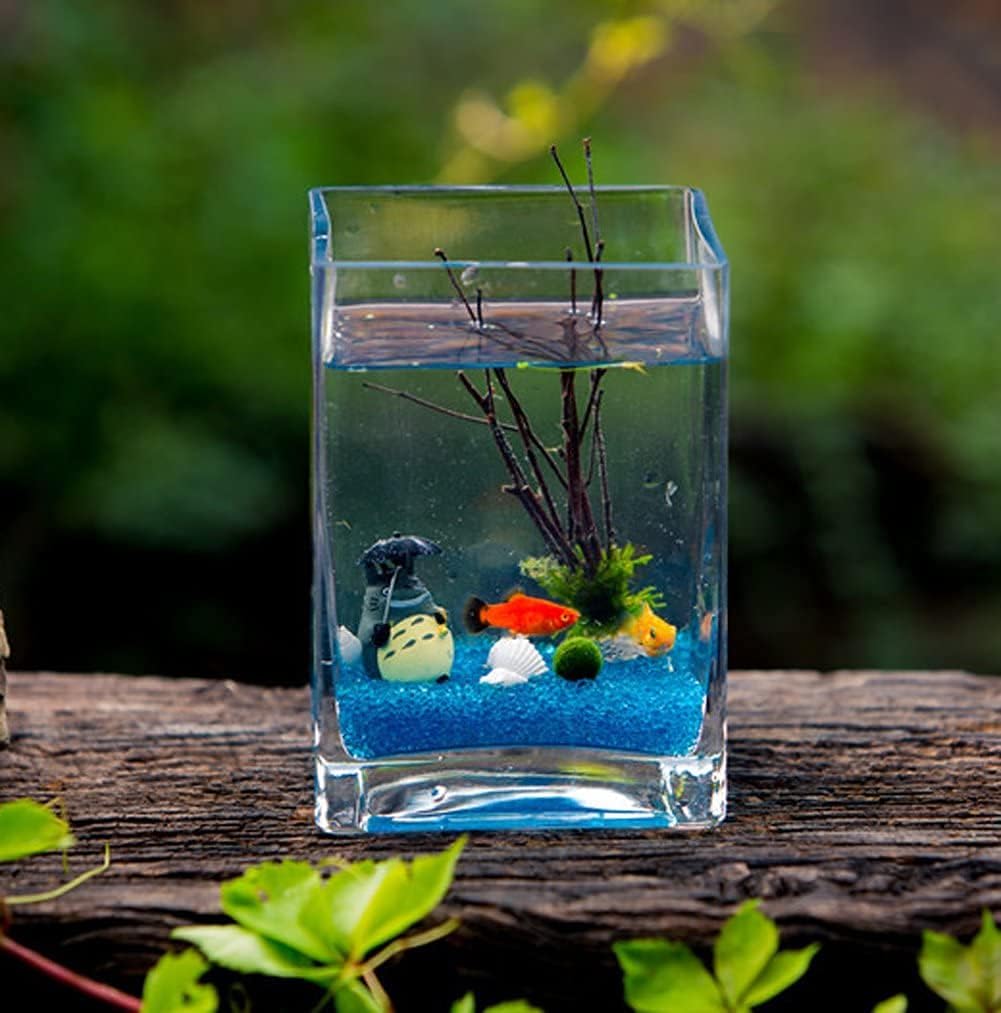 Mini fish tank, square glass fish tank, creative fish tank, office