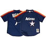 craig biggio pinstripe jersey