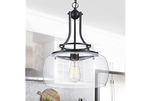 WUZUPS Chandelier Rustic Farmhouse Industrial Round Ceiling Pendant LED Light Fixture with Clear Glass Shades for Dining Room Kitchen Island Foyer Entryway, H 17" x W 13.4", E26 Base, Black