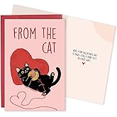 Qiavor Happy Valentine's Day Card from Cat, Romantic Valentines Card for Cat Lover, Kitty Vday Gift for Woman Man