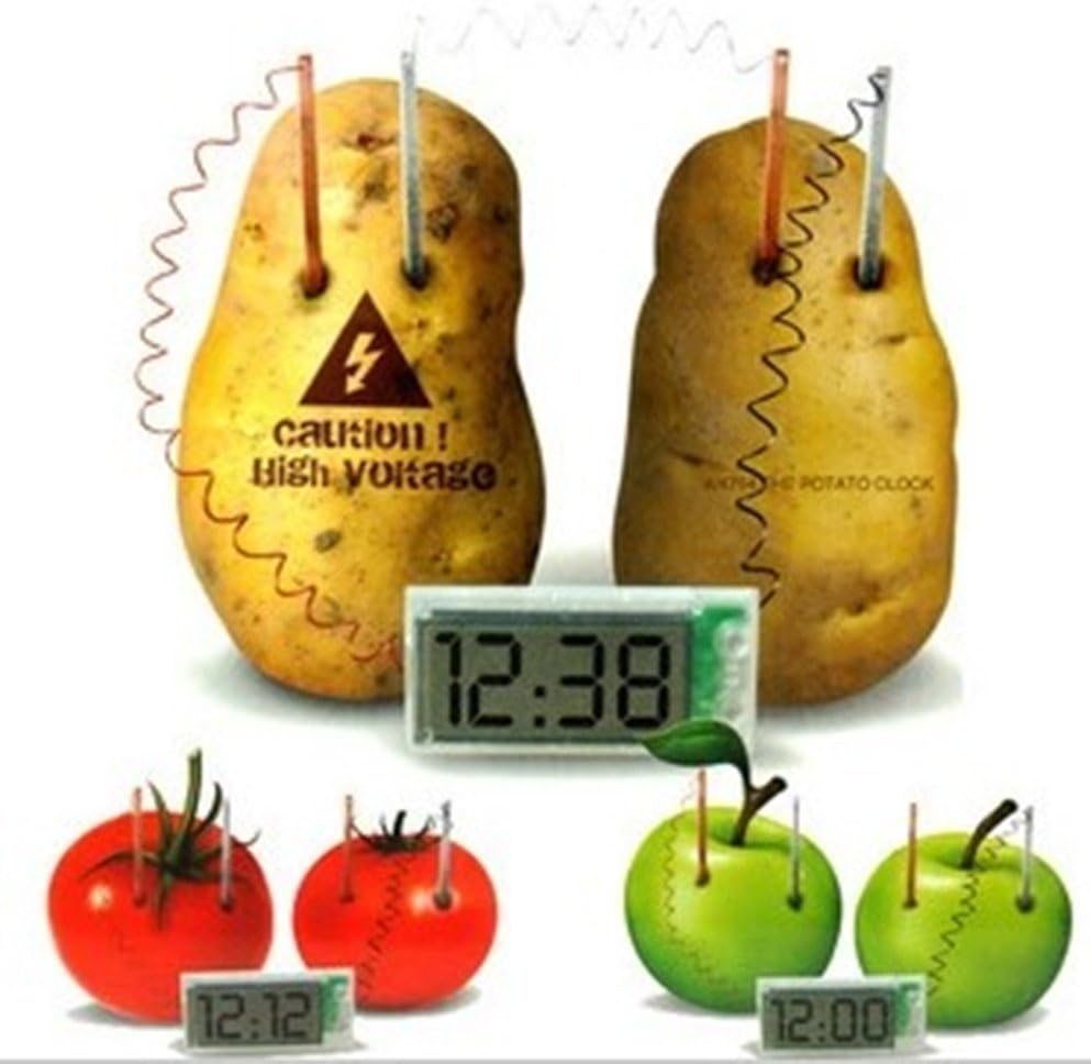 Amazon Com Potato Clock Novel Green Science Project Experiment Kit Kids Lab Home School Toy