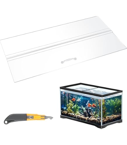 Amazon.com : Mamé Design Blame Overflow M : Pet Supplies