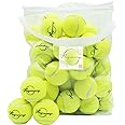 Magicorange Tennis Balls, 60 Pack Advanced Training Tennis Balls Practice Ball, Pet Dog Playing Balls,Good for Beginner Training Ball