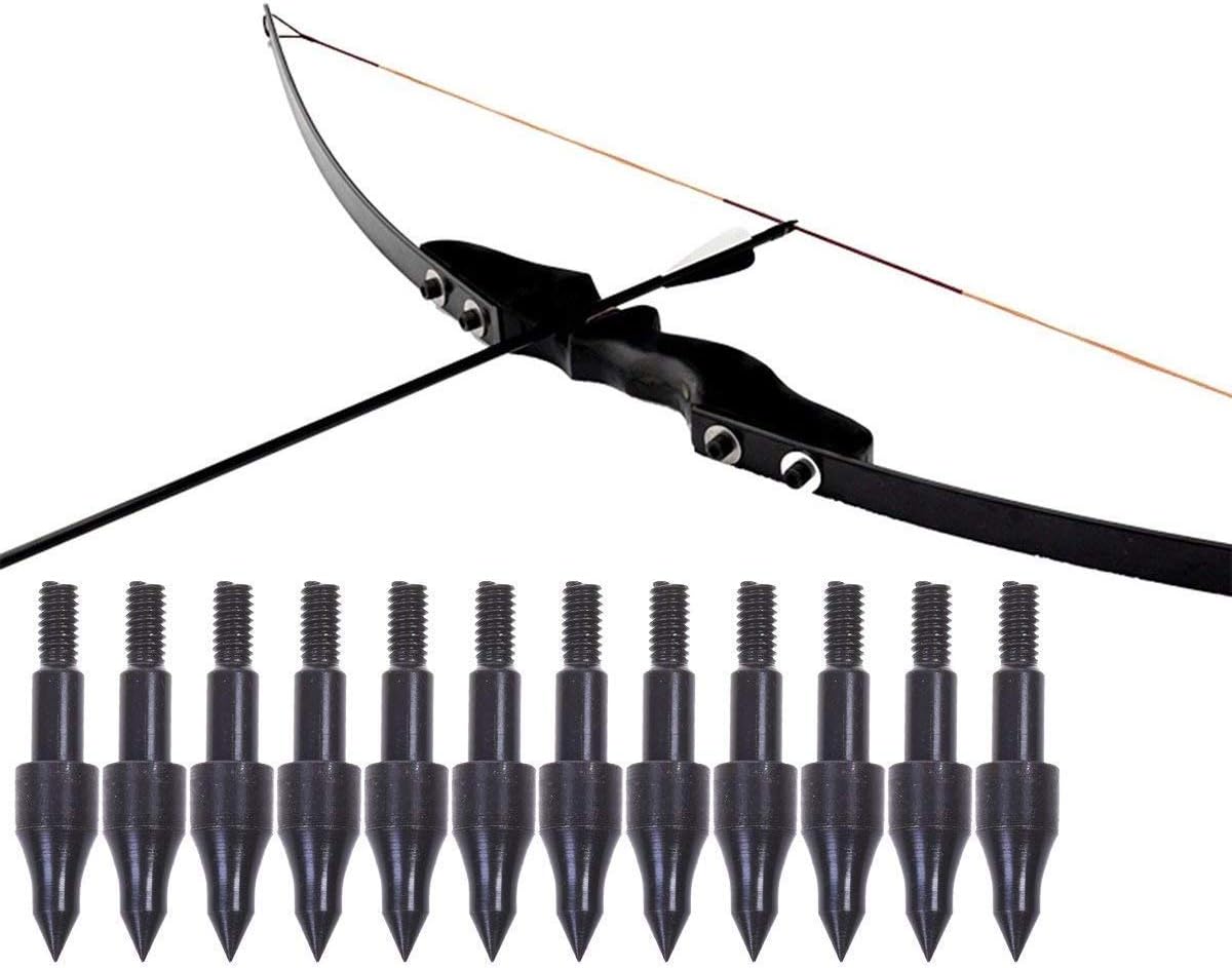 sansheng 20PCS Screw in Archery Bullet Points for Arrows, Bullet Points Arrows Field Target Practice Shooting，100 Grain Each : Sports & Outdoors