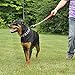 Titan Coastal Pet 20 Prong Collar with Nylon Closure - Includes 10 Helpful Tips for Using a Prong Collar (20)