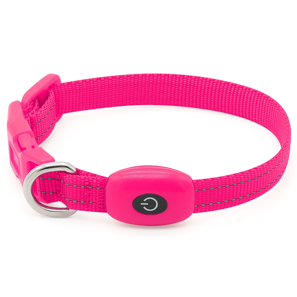 Clan_X Led Dog Collar, USB Rechargeable light up Pet Collar for small dogs, Glowing in the Dark Nylon Webbing Flashing Collar with Reflective Stitches Make Your Pets Visible & Safe (Pink)