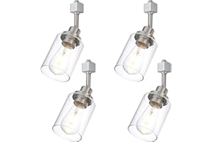 Wanluce 4 Pack H Track Lighting Replacement Heads Brushed Nickel Ceiling Track Lighting Fixtures with Clear Glass Shades, H Type Track Light Heads E26 Base Spotlight for Retail Shop Kitchen Island
