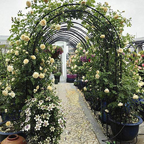 Better Rosenbogen aus Metall, Mit 2 Pflanzenkorb, Gartenlaube für Verschiedene Kletterpflanzen, Garten Im Freien, 7,08… – Bild 6
